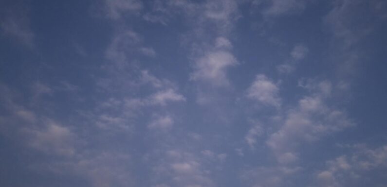 Les avantages clés de la fiscalité de l’assurance vie pour les investisseurs